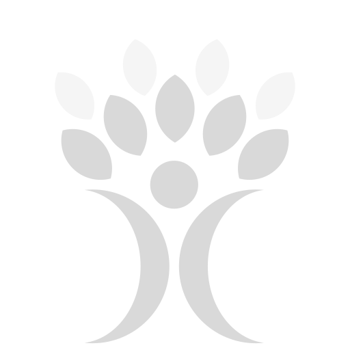 WordPress Transparent